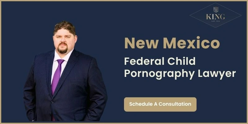beat federal child pornography lawyer in new mexico